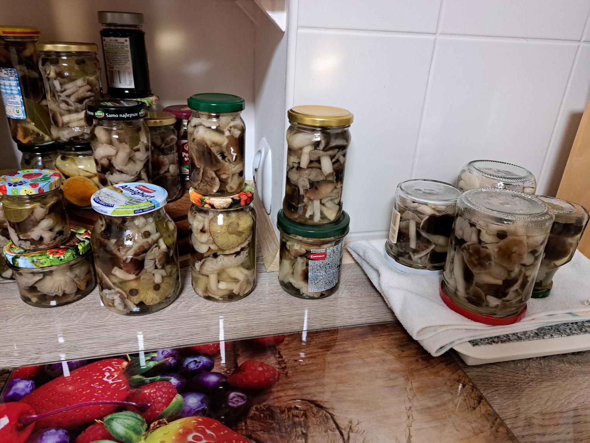 Chatka Kurki Farma *